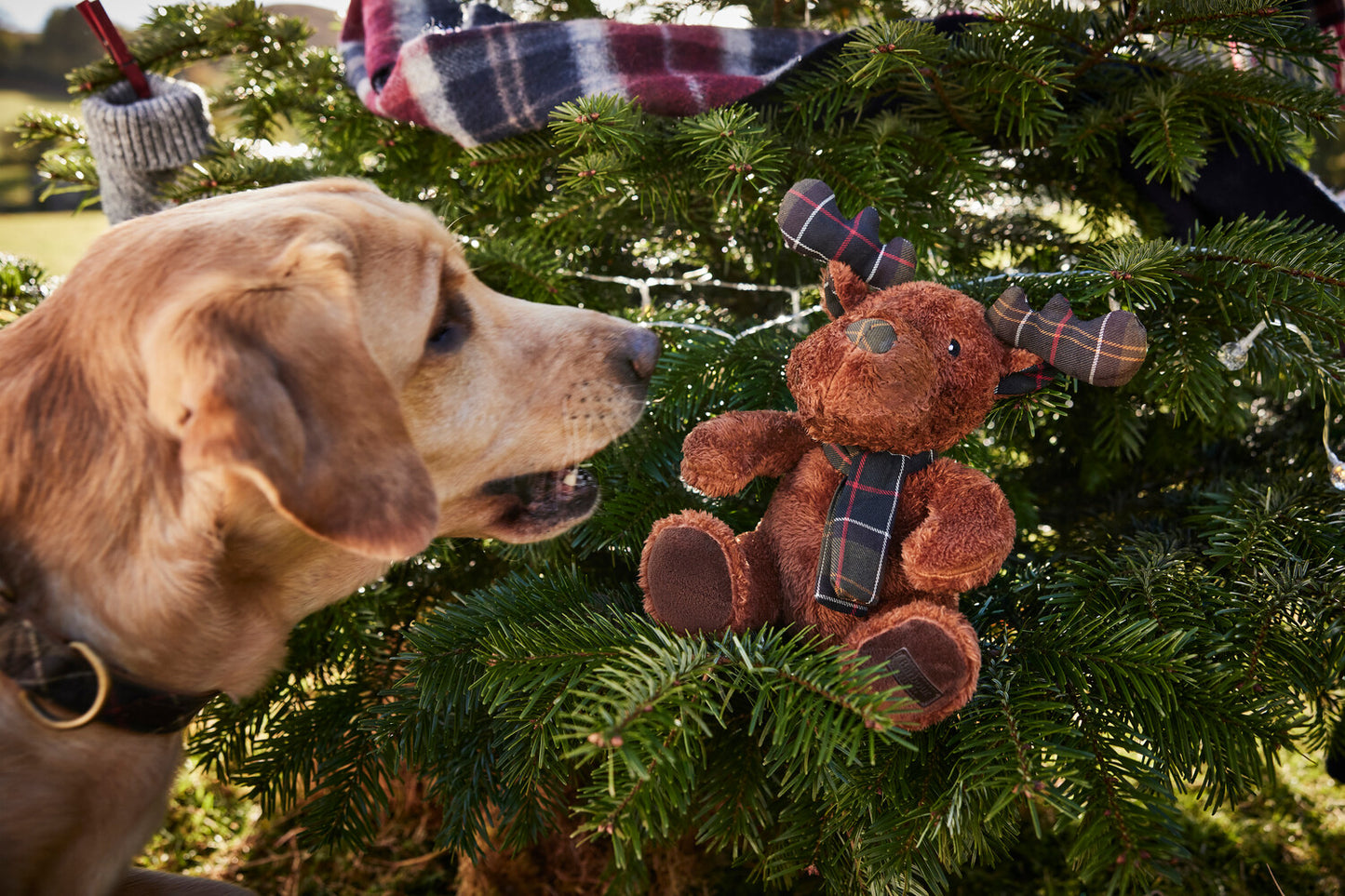 Barbour Dog Reindeer Toy