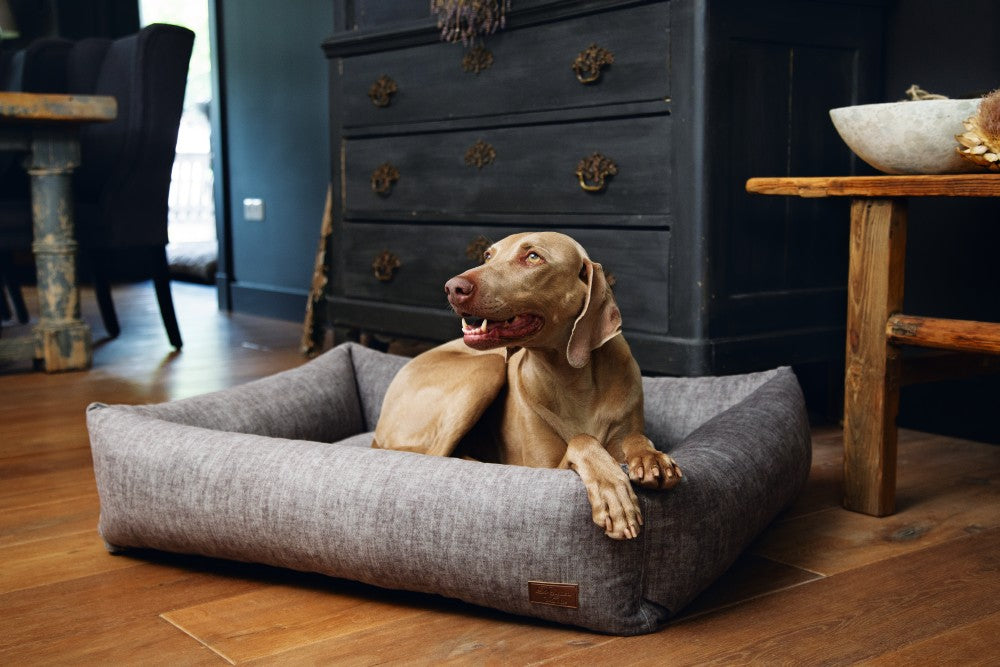 UNNAY Luxury Dog Bed